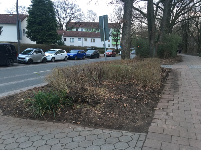 220214  Arbeiten an der Einfahrt und dem Radweg 0800x0600